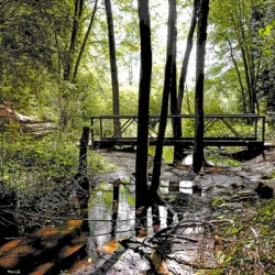 Creek Crossing