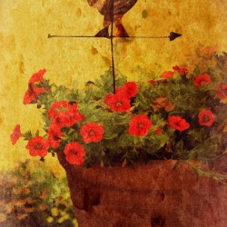 Days Gone By