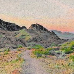 Desert Path