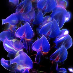 Electric Blue