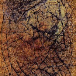 Elephant skin