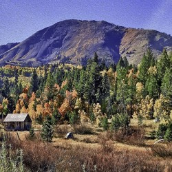 Fall Cabin