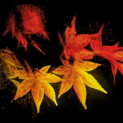 Fall Flame