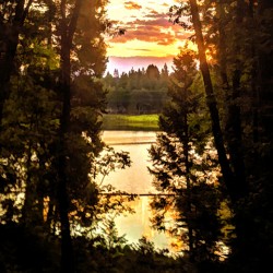 Forebay