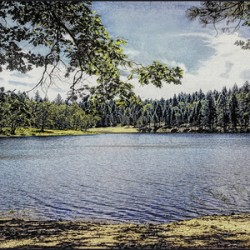 Forebay Lake panorama