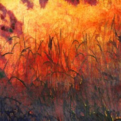 Grass Fire