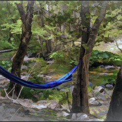 Hammock