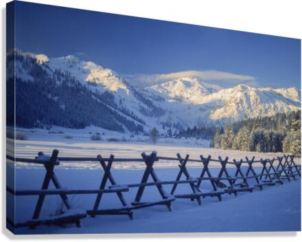 B08816b Canvas Print
