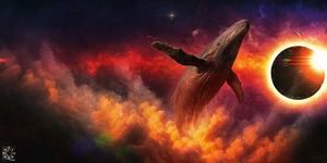 The Infinite Traveler