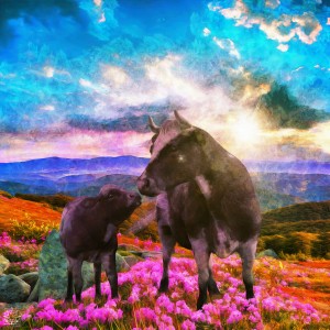 Child and Mother