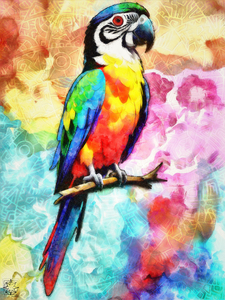 Parrot