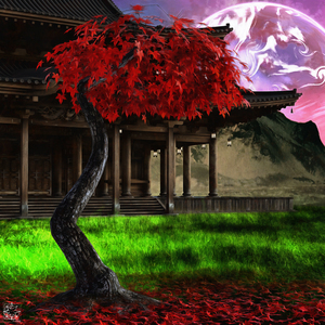 Red Maple