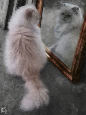 Sophie and the Mirror