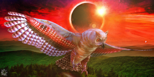 Supernal Wings