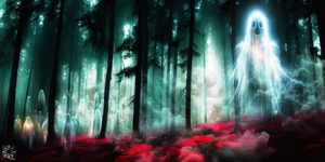 The Thinning Veil