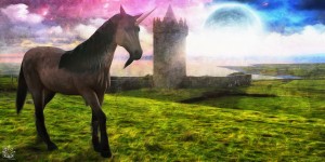 The Unicorn House
