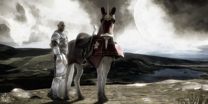 The Unicorn Knight