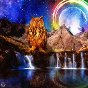 The Witness