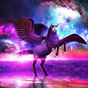 Winged Universe