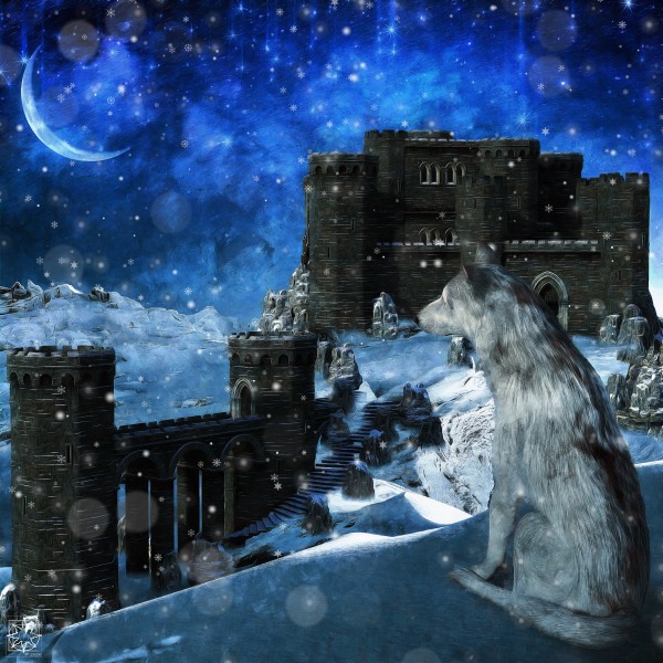 Looking Homeward Print