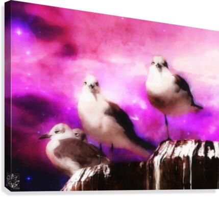 Seagulls Canvas Print