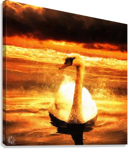 Leda Canvas Print