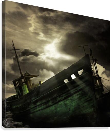 Last Landing Canvas Print