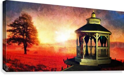 Backyard Canvas Print