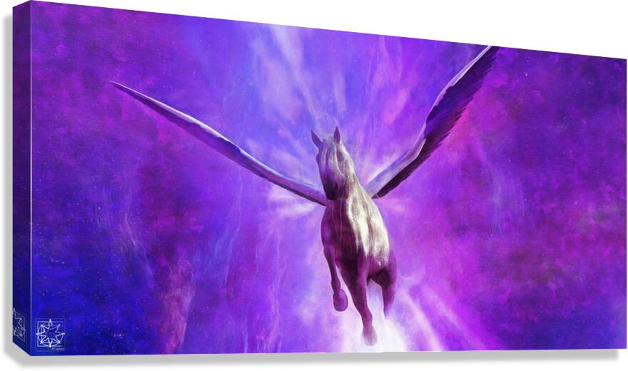 Starflyer Canvas Print