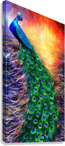 Peacock Canvas Print
