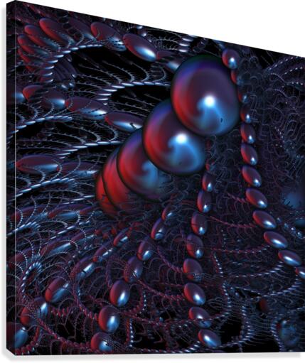 FRACTAL SPIDERWEB Canvas Print