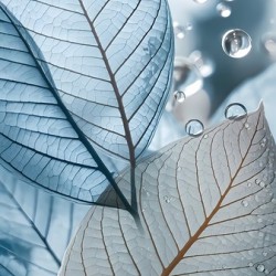 Ethereal Leaf Harmony