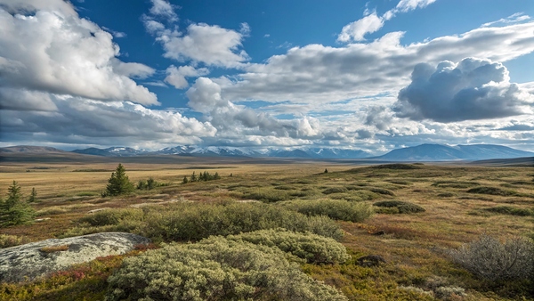 Fall Tundra Under a Dramatic Sky by DesignTech