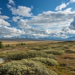 Fall Tundra Under a Dramatic Sky