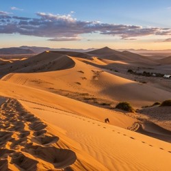 Sunset Over the Desert