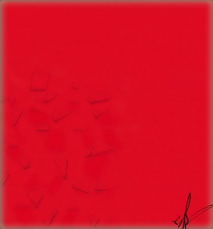 A Few Crushed Cracker Pieces in Tomato Soup