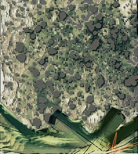 Growth Process of Sheet Moss in Digital Simulation