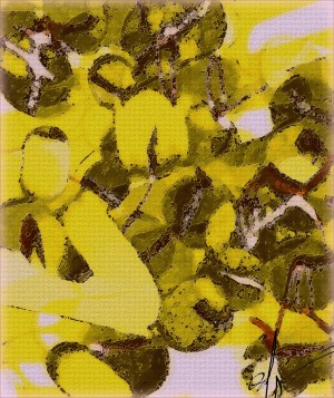 Imitation Still Life