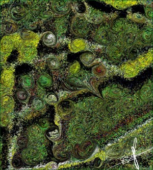 Locusta Migratoria Print