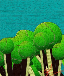 Lost Tennis Ball Forest