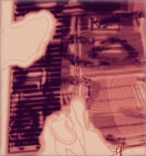 Where the Worse is Worn on Wednesdays