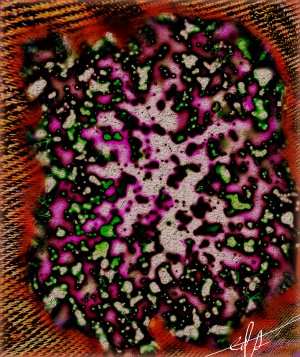 Witches Brew Nuked in a Bread Bowl