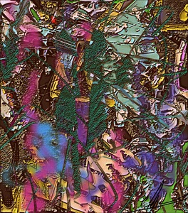 dIeNsFoAlTaUtAiToInON