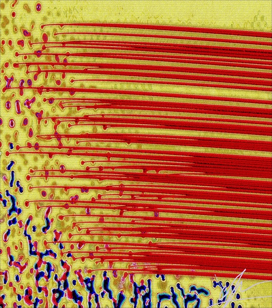 Cell Migration Print