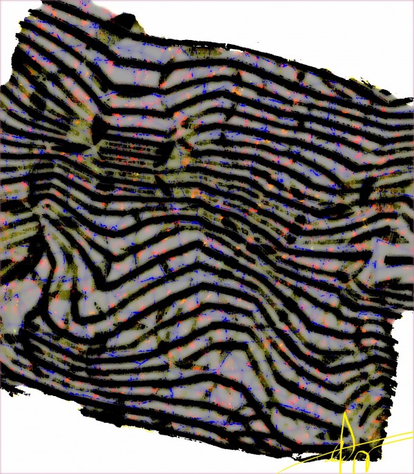 205AM762020 Print