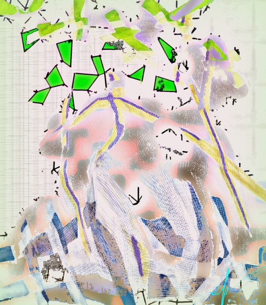Big Data Anemochory Print