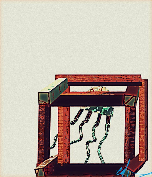 Boxed Box Jellyfish Print
