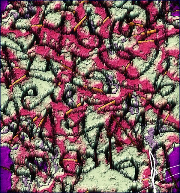 Callisto Print
