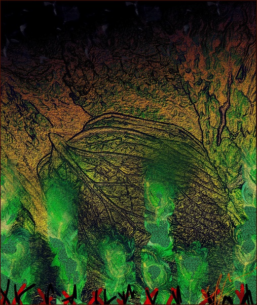 Colcannon Night Print