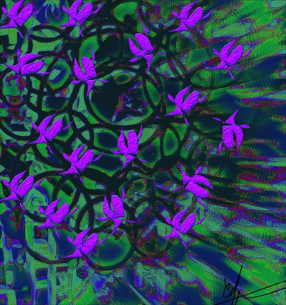 Cranesbills Print